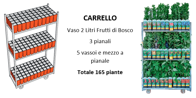 Foto carrello Garden Center 1 ok