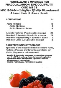 concime-lampone-mora-ribes
