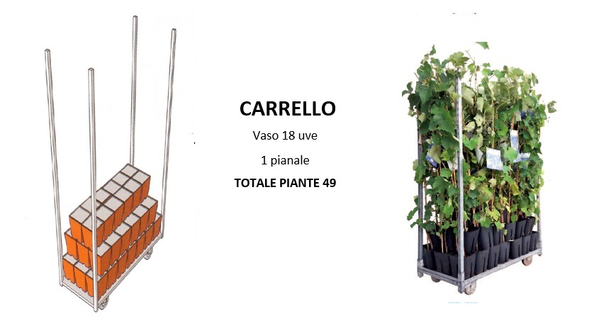 Skelang - Sottovaso per piante da 33 cm, con cassetto dell